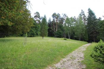 park (© Luděk Vláčil 06/2017)