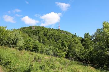 hradisko od severovýchodu (© Luděk Vláčil 06/2017)