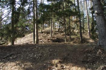  (© Michal Brůža, 03/2011)