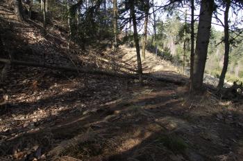  (© Michal Brůža, 03/2011)
