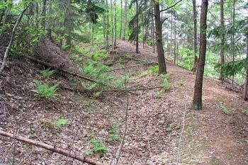 Příkop a val na severozápadní straně ( © Roman Řezáč 05/2004)