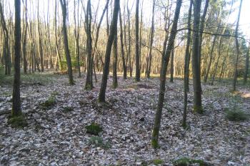  (© Prudký Martin, 04/2017)