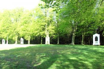 Poutní místo Mariánská Hora nad Horní Čermnou ( © Pavel Vítek 05/2017)