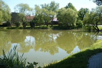 Miškovice -návesní rybník (© Jiří Špaček, 05/2017)