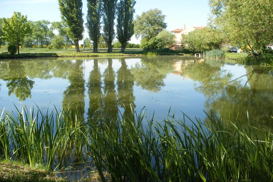 Miškovice