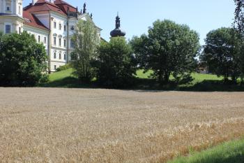  ( © Luděk Vláčil 07/2017)