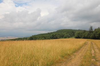 Pohled na Stunený vrch (© Luděk Vláčil  07/2023)