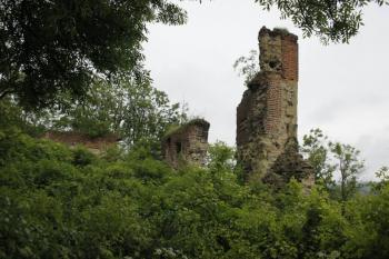  (© Luděk Vláčil, 07/2013)