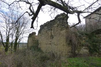 Dražice-zřícenina hradu (© Vlastislav Mareček, 12/2015)