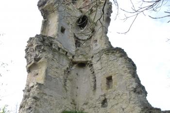 Dražice-zřícenina hradu (© Vlastislav Mareček, 12/2015)