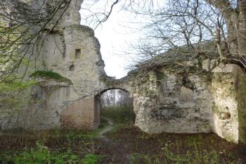 Dražice-zřícenina hradu (© Vlastislav Mareček, 12/2015)