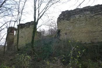 Dražice-zřícenina hradu (© Vlastislav Mareček, 12/2015)