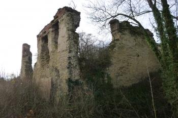 Dražice-zřícenina hradu (© Vlastislav Mareček, 12/2015)