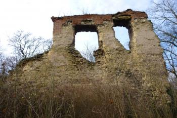 Dražice-zřícenina hradu (© Vlastislav Mareček, 12/2015)