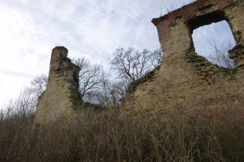 Dražice-zřícenina hradu (© Vlastislav Mareček, 12/2015)