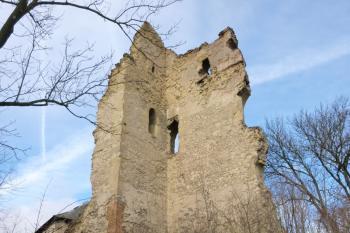 Dražice-zřícenina hradu (© Vlastislav Mareček, 12/2015)