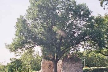 palác z nádvoří (© Miroslav Rybáček, 09/2003)