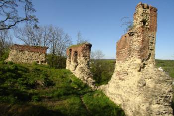  ( © Jiří Čížek 05/2007)