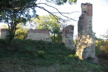  (©2003 Jiří Čížek)