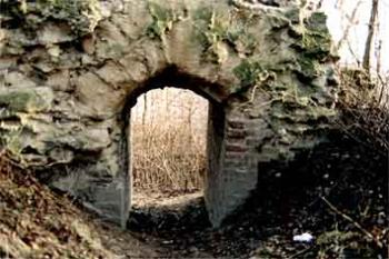  (©1999 Jiří Čížek)