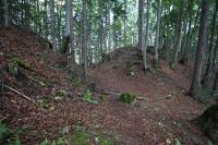 Sučiansky hrad