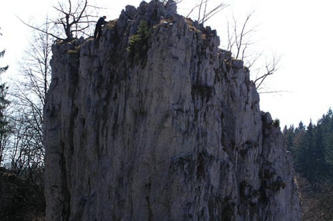 Hřebenáč