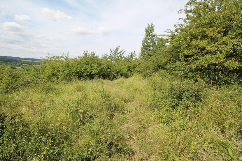 Bystřice pod Lopeníkem