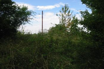 Nejvyšší bod hradištního vrchu (© Dušan Dohňanský  08/2014)