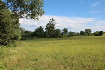  ( © Luděk Vláčil 07/2017)