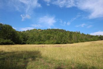 Hradní vrch od západu (© Luděk Vláčil 07/2017)
