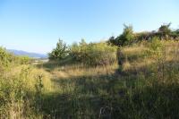 Dlžín