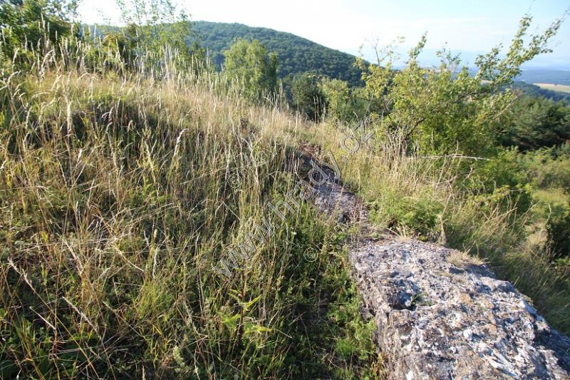 Dlžín