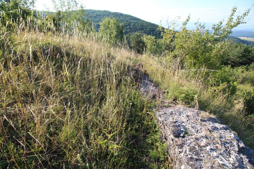 Dlžín