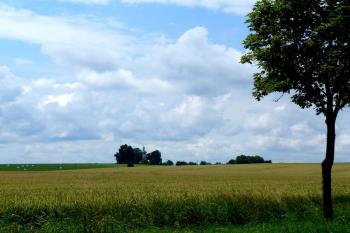  ( © František Kinař 07/2017)