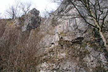 Byčí skála ( © Roman Řezáč 04/2003)