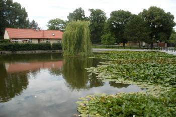 Chyňava - rybník před kostelem sv. Prokopa (© Jiří Špaček, 07/2017)