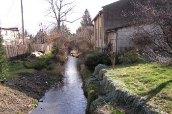 hamerní náhon při pozůstatcích hamru č. VII ( © Jan P. Štěpánek 03/2010)