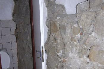 staré se snoubí s novým ( © Jan P. Štěpánek 09/2005)