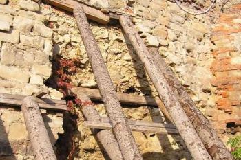 Bortící se původní hrdba nad řekou (© Jan P. Štěpánek, 10/2006)