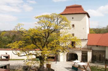 Vstupní branská věž a nádvoří hradu ( © Miroslav BITTER 04/2007)
