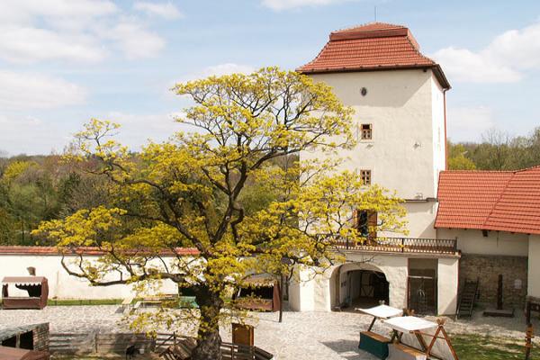 Slezskoostravský hrad