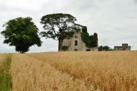 Rathcoffey