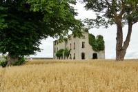 Rathcoffey