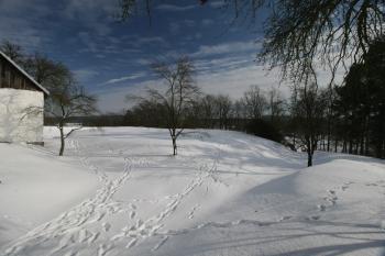 Pohled na tvrziště ze západu (© Petr Nožička 1/2017)