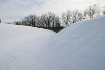  ( © Petr Nožička 1/2017)