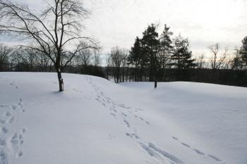  ( © Petr Nožička 1/2017)