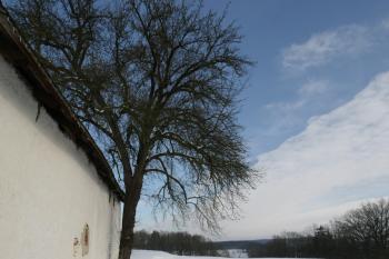  (© Petr Nožička 1/2017)