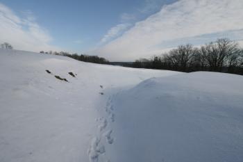  (© Petr Nožička 1/2017)