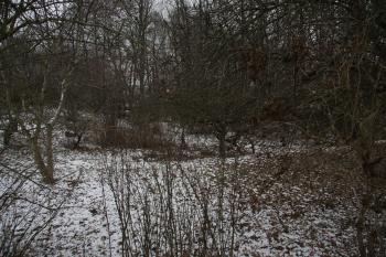 Pohled na pozůstatek příkopu ( © Petr Nožička 01/2019)