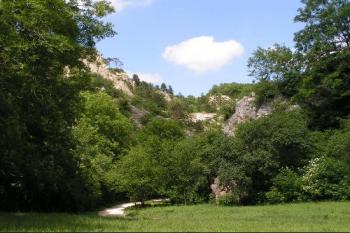 Přístupová cesta ( © Lucie Nižaradzeová 06/2004)